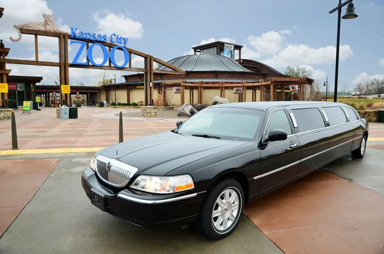 How To Curate Your Quinceañera Limo Experience in Houston?